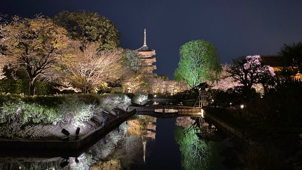 Mai 2024 - Genmaicha de Kyoto, Nara et Shiga