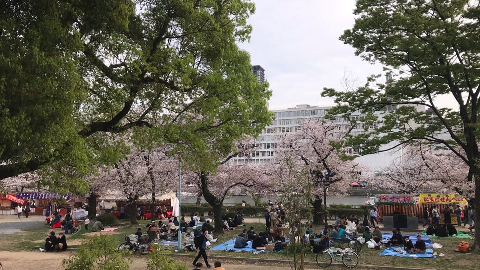 Hanami