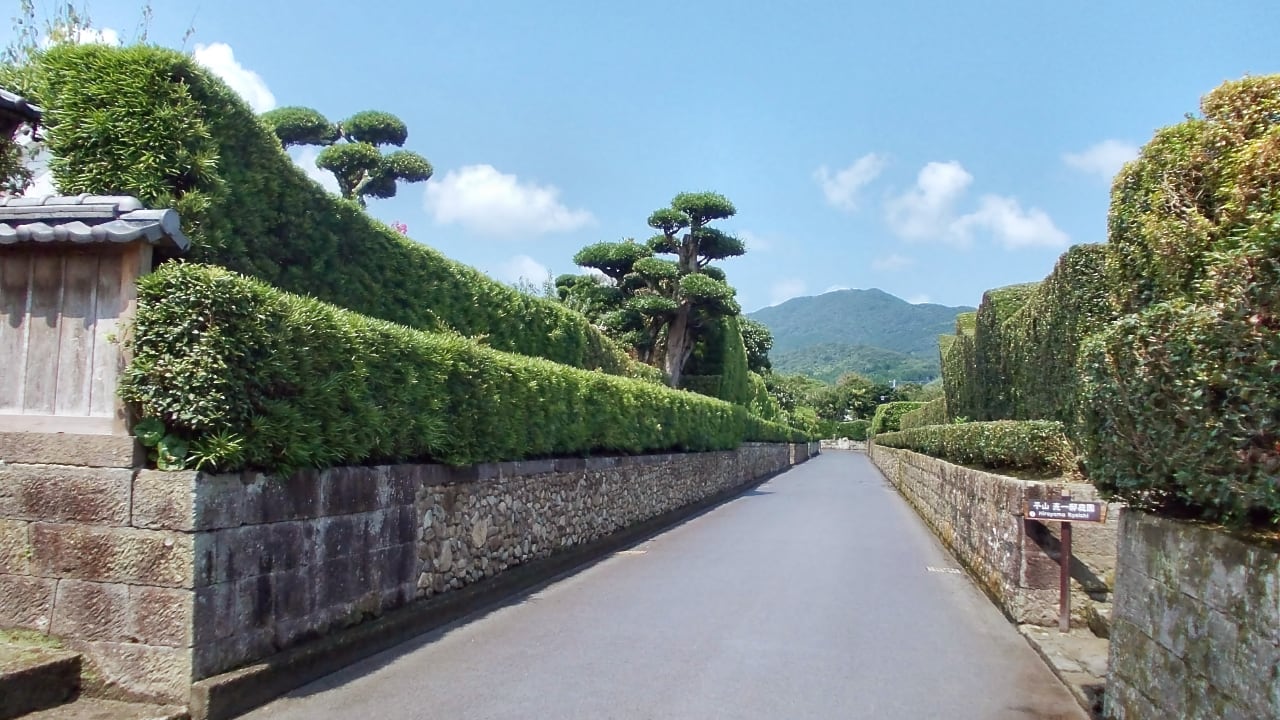 June 2023 - Sencha from Chiran, in the prefecture of Kagoshima