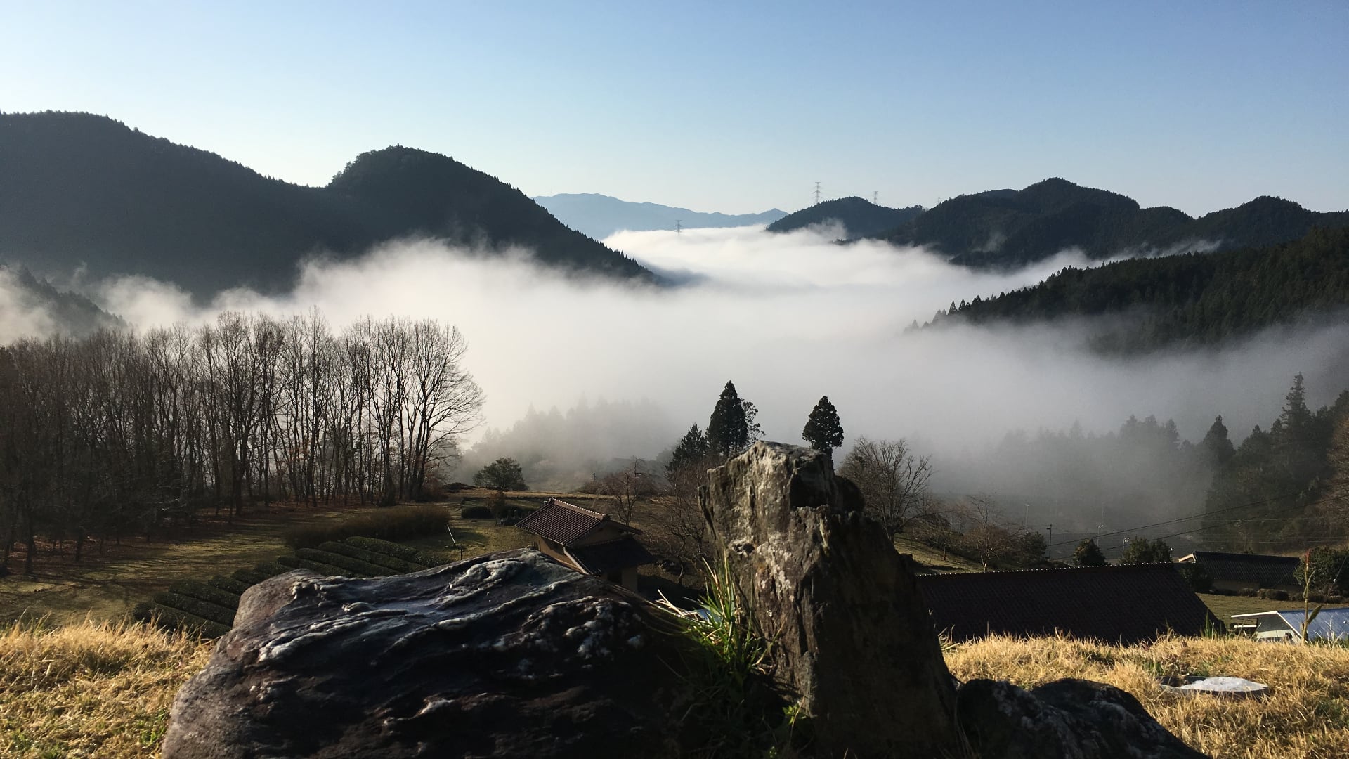 March 2024 – Hōjicha From Above The Clouds