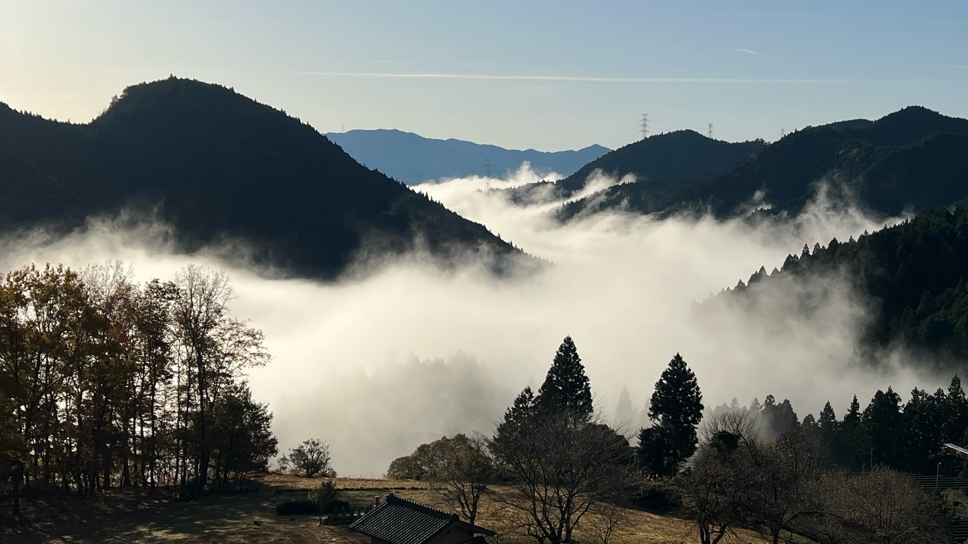 April 2024 – Asamushi Sencha From Above The Clouds