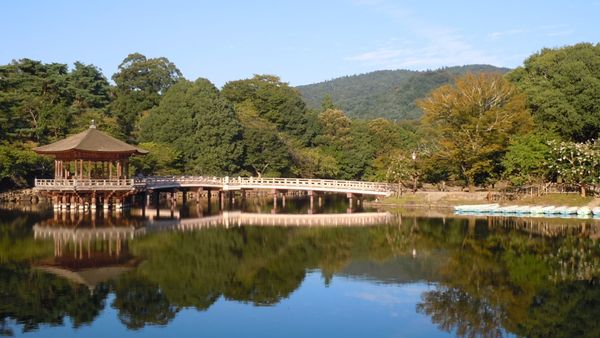 August 2025 – Yamatocha de Nara