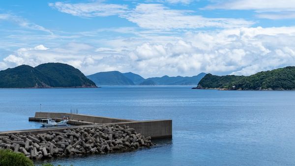 September 2025 – Kabusecha from the Gotō Islands