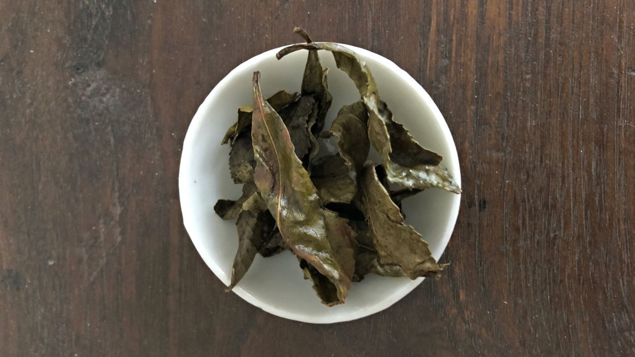 feuilles de kancha