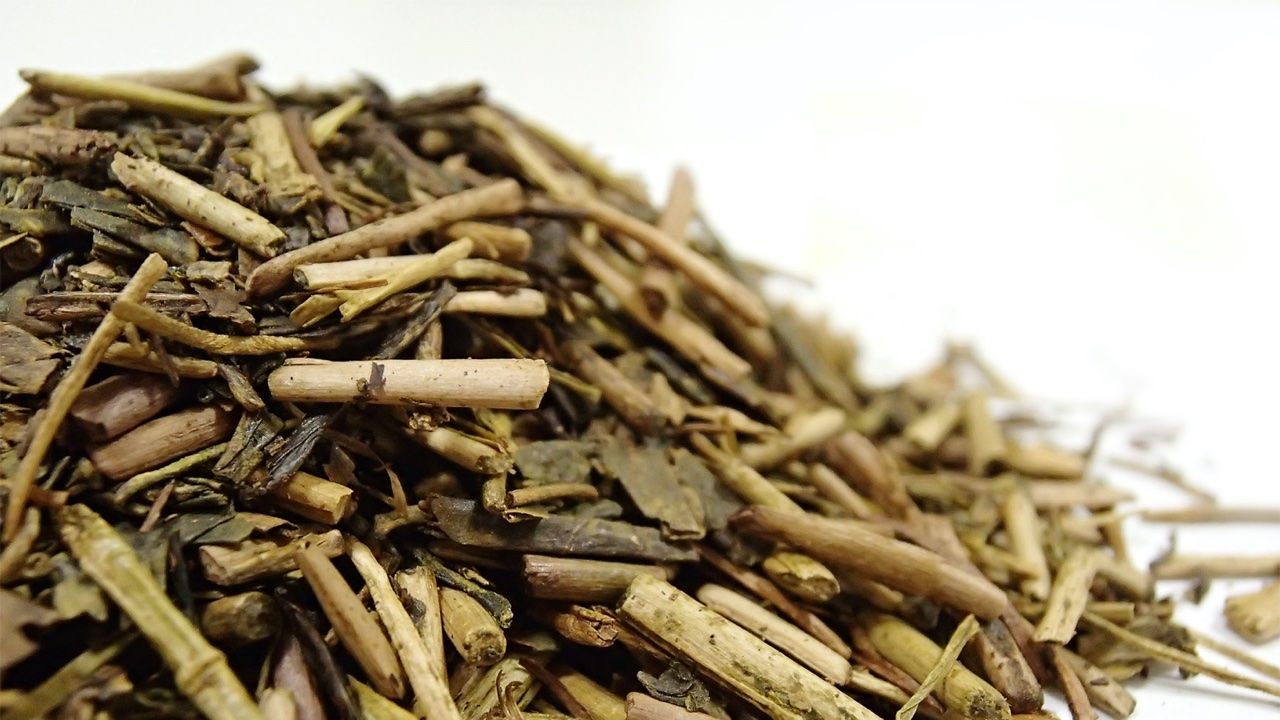 Karigane Hōjicha de Mie