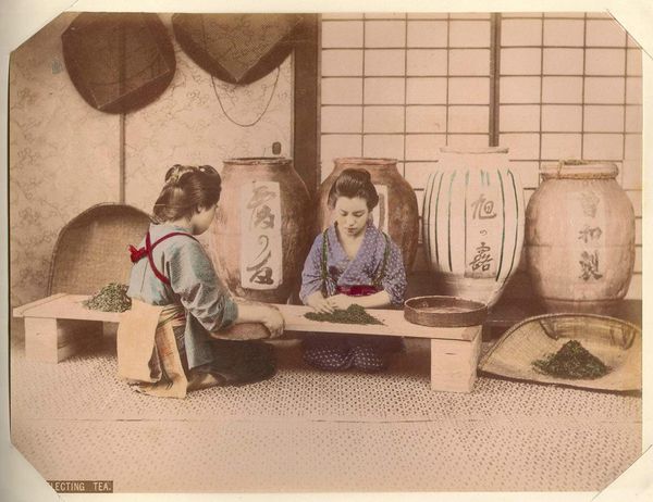 Avril 2026 – Karigane Hōjicha de Mie